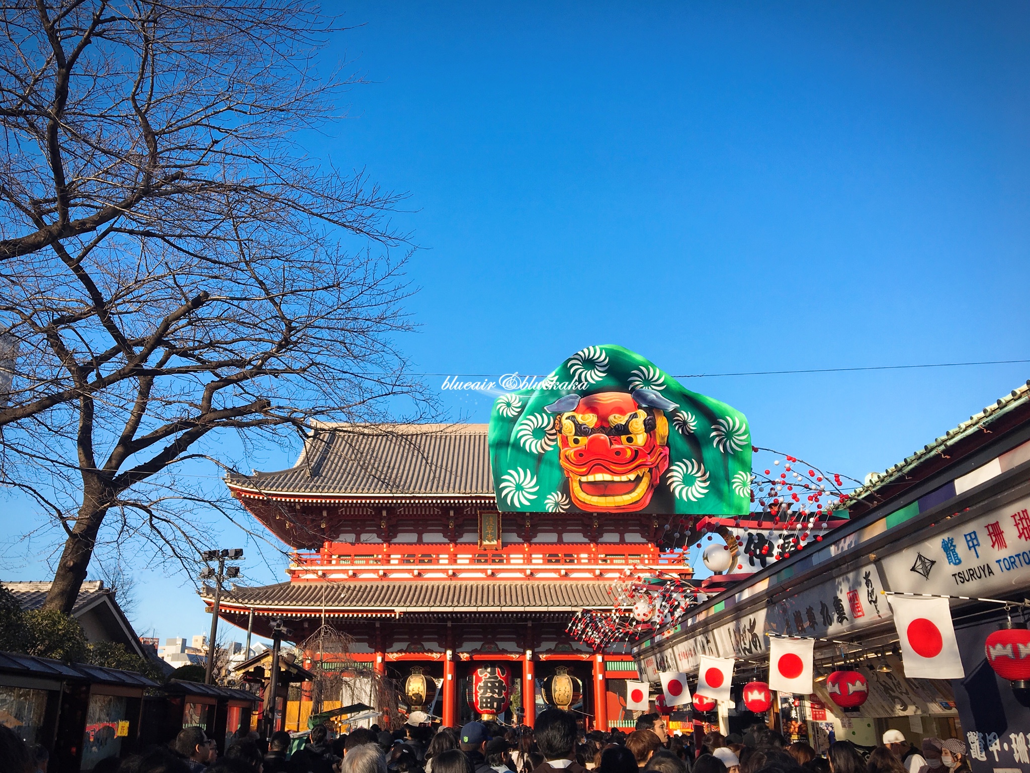 平成28年的城市游行-东京跨年7日自由行-满满