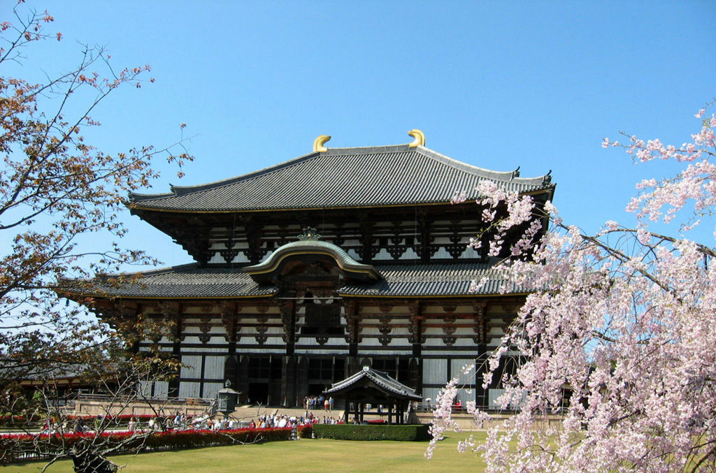 日本京都大阪东大寺/奈良公园/平等院/宇治抹茶/岚山异国风情一日游