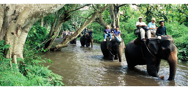 泰国芭提雅绿山国家动物园khao kheow open zoo芭堤雅