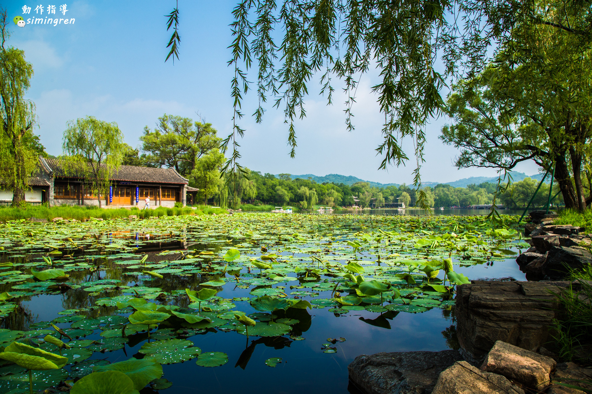 2016端午小长假—承德避暑山庄图片26,承德旅游景点,风景名胜 马