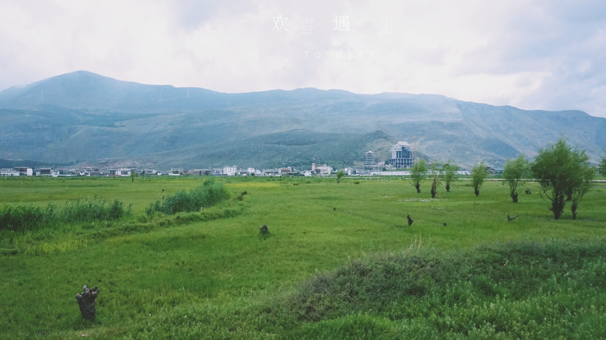 鹤庆县田屯村有多少人口_鹤庆县黄坪镇向石村