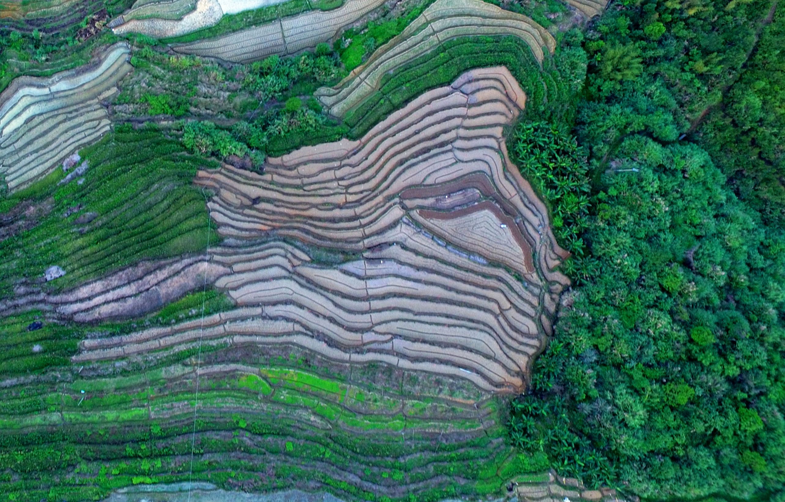 古堡线条风景画