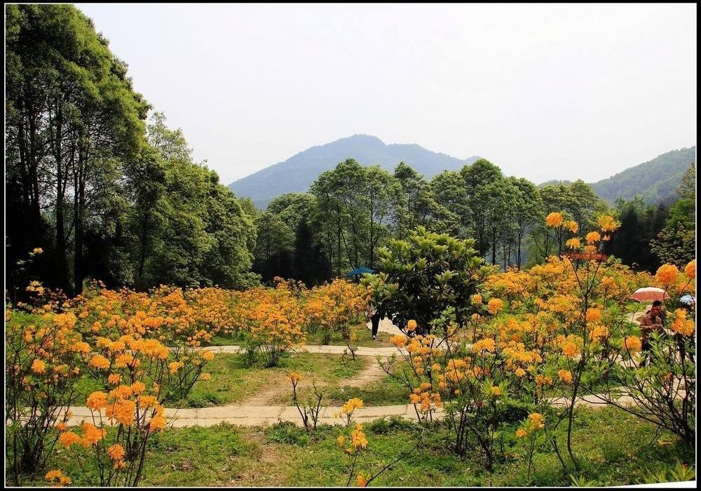 彭州丹景山一日游