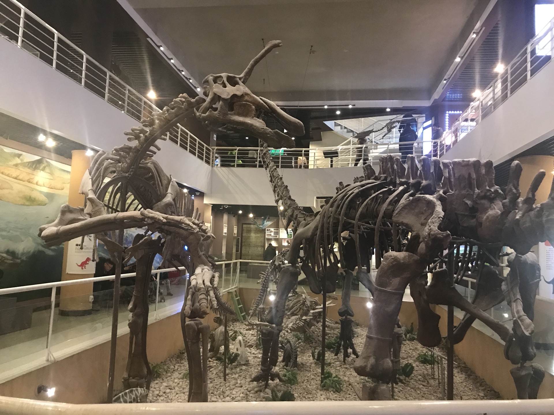 这里是北京之观复博物馆中国古动物馆