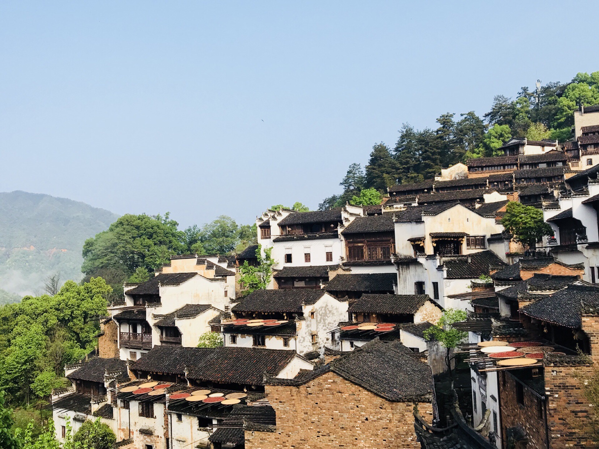 清明季游皖南 寻画中梯田,觅深处寂静,篁岭村旅游攻略