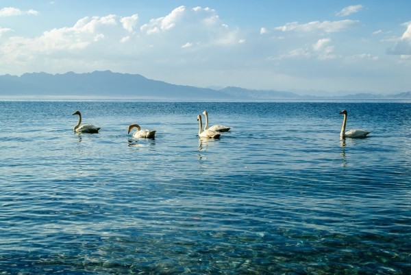 赛里木湖位于新疆哪个州 wKgBEFtDNr2ALfAuAASqmbSl0S401.jpeg?imageView2%2F2%2Fw%2F600%2Fh%2F600%2Fq%2F90