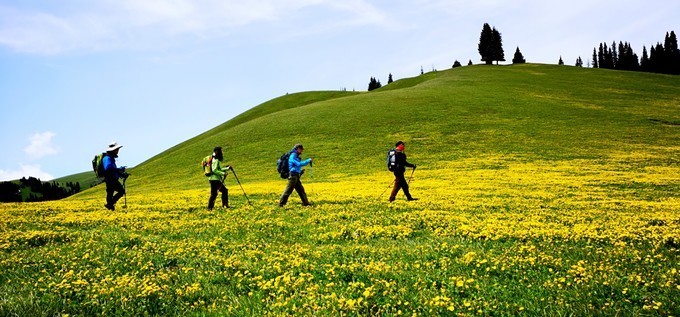几月份去喀拉峻草原最合适?本人有点怕冷。