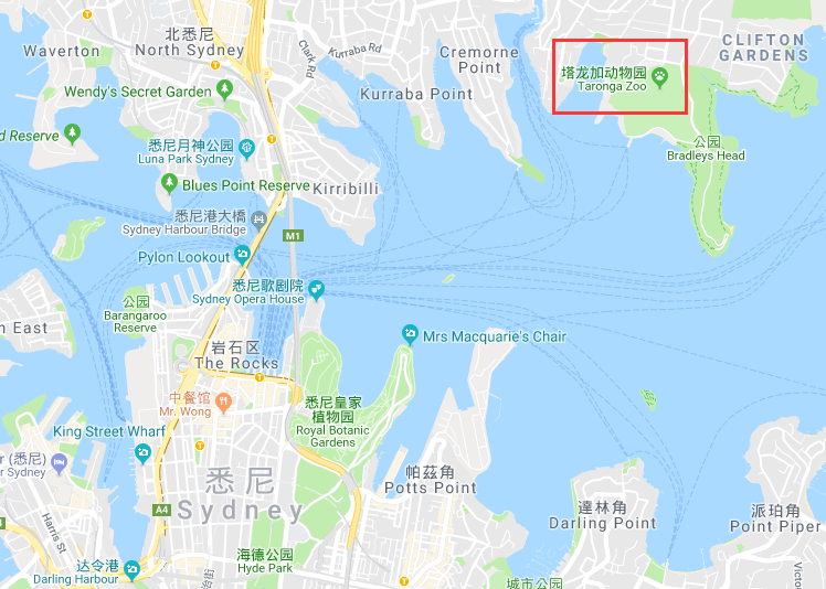 悉尼塔龙加,这里的动物们住着海景房