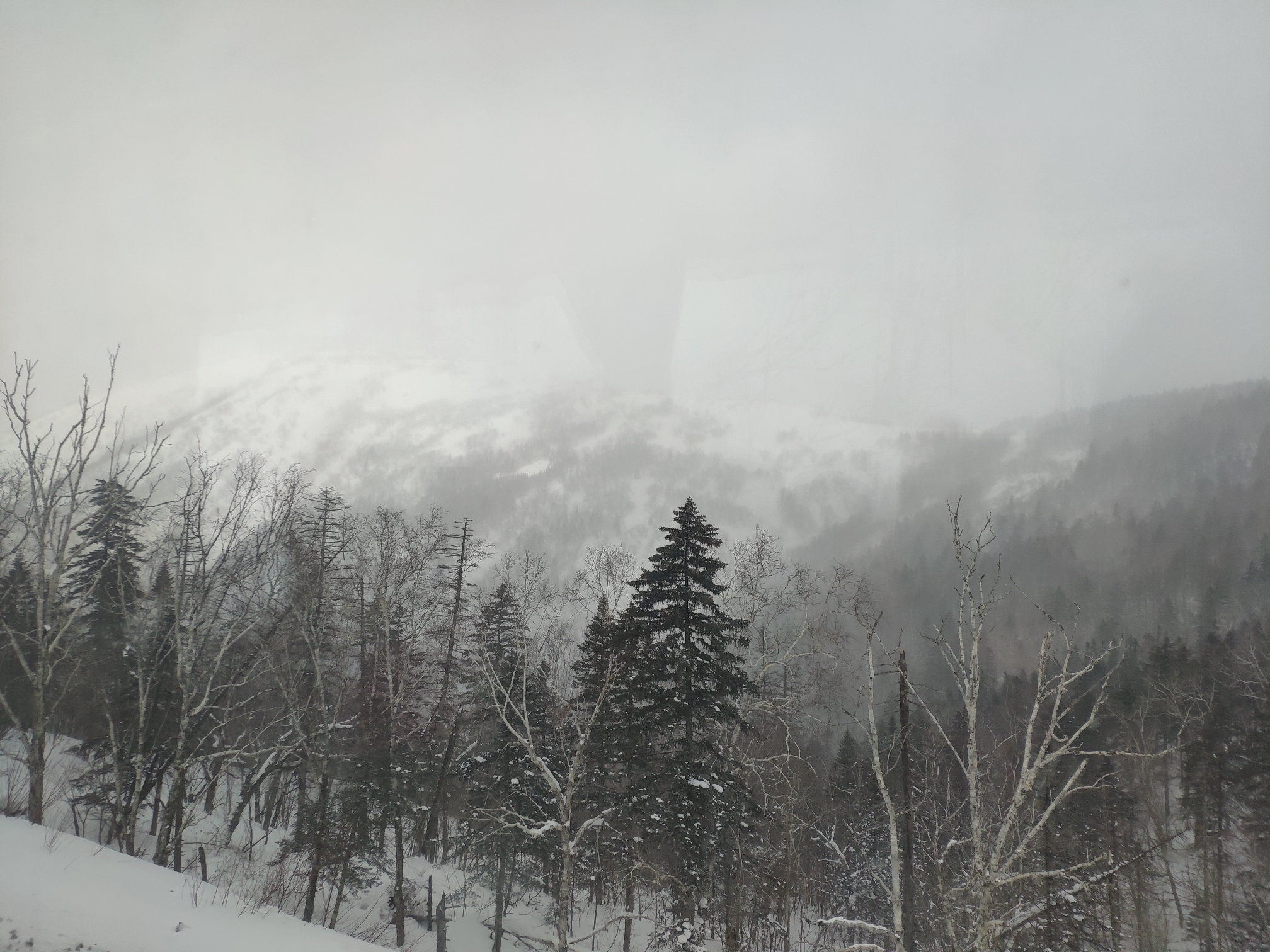 wKgBEFxcPDWASGQZAByUdGluAi830.jpeg?imageView2%2F2%2Fw%2F600%2Fh%2F600%2Fq%2F90