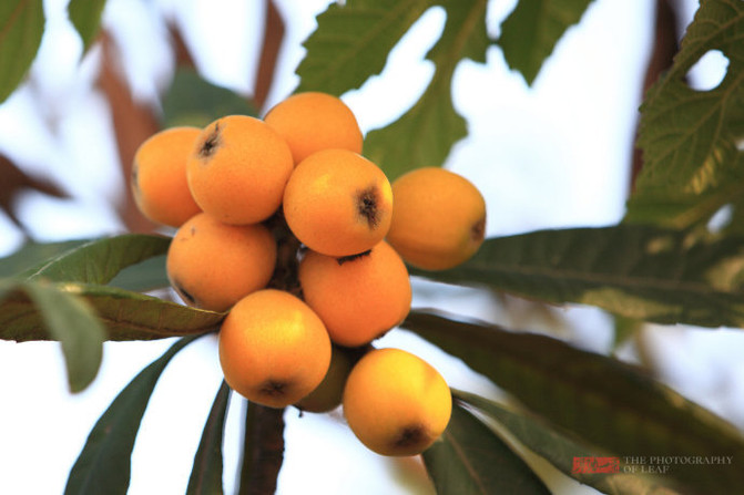 wKgBEFrLP8aAMxY-AAEeVm3soN813.jpeg?imageView2%2F2%2Fw%2F600%2Fq%2F90%7CimageMogr2%2Fstrip%2Fquality%2F90