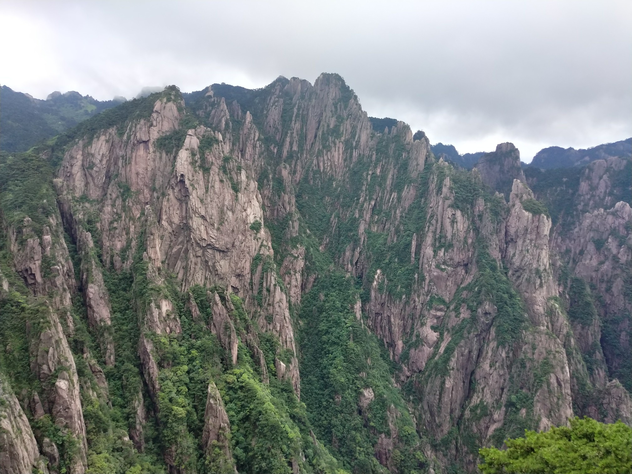 黄山市有多少人口_我的镜头里的黄山 一(2)