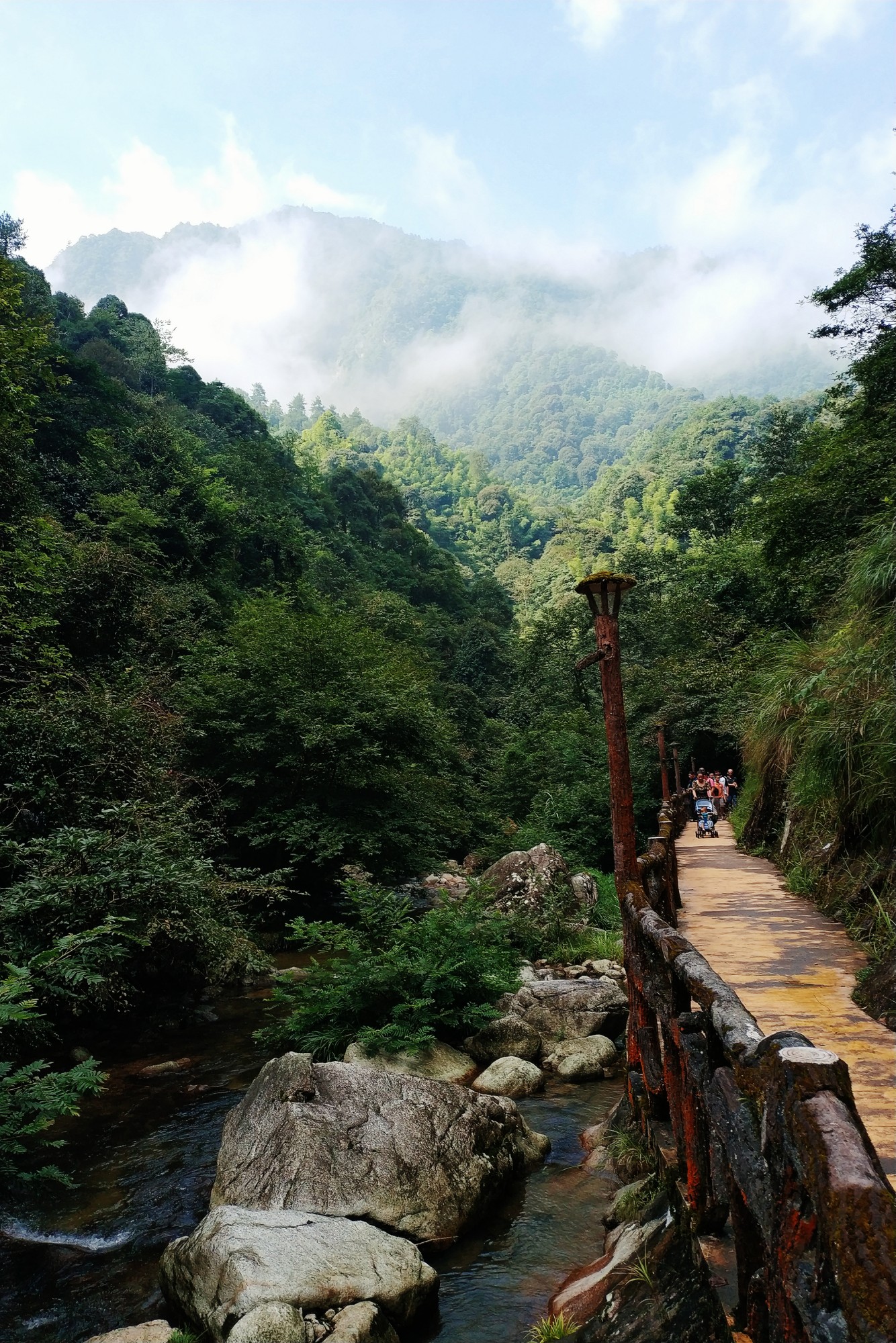 炎陵| 湖南神农谷静心之行