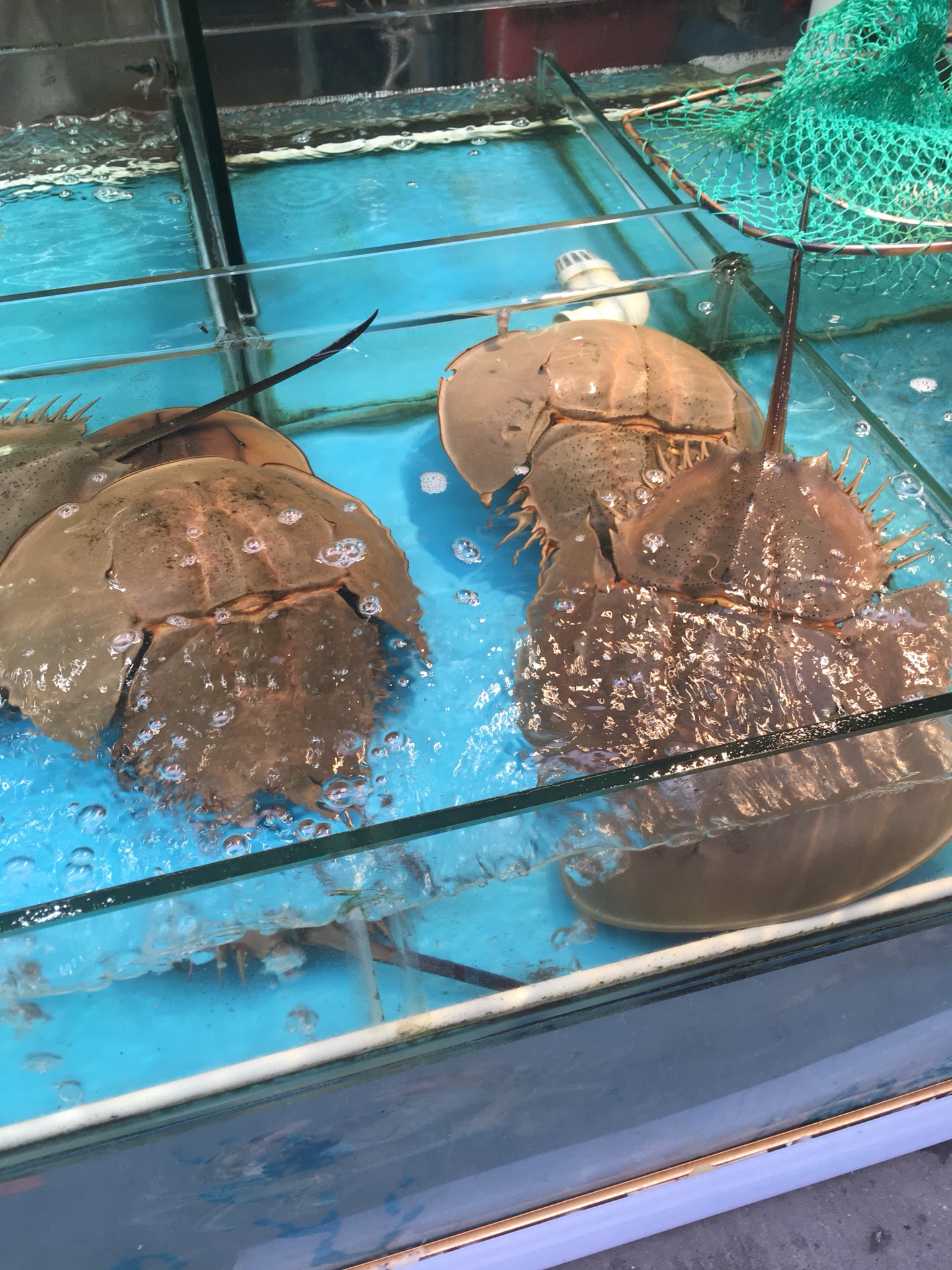 wKgBEFp_xqqAUezJAAwqxqf2OB492.jpeg?imageView2%2F2%2Fw%2F600%2Fh%2F600%2Fq%2F90