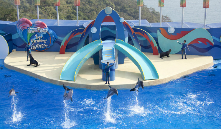 海洋公园门票一般多少 wKgBEFpn8IaAU48QAAKKhWeYyAc73.jpeg