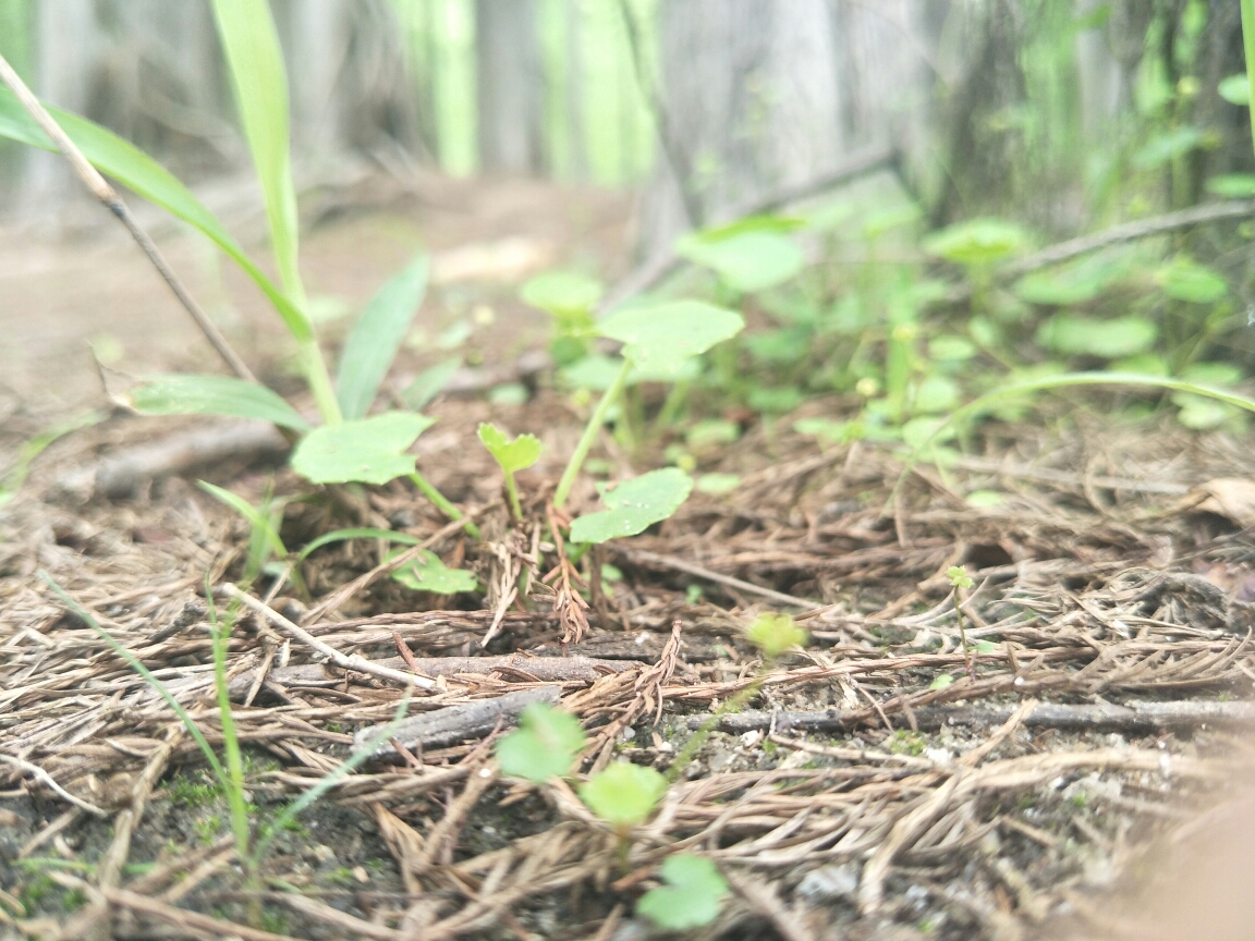 鱼虎云一猜一成语大全_一图一成语猜答案大全(3)