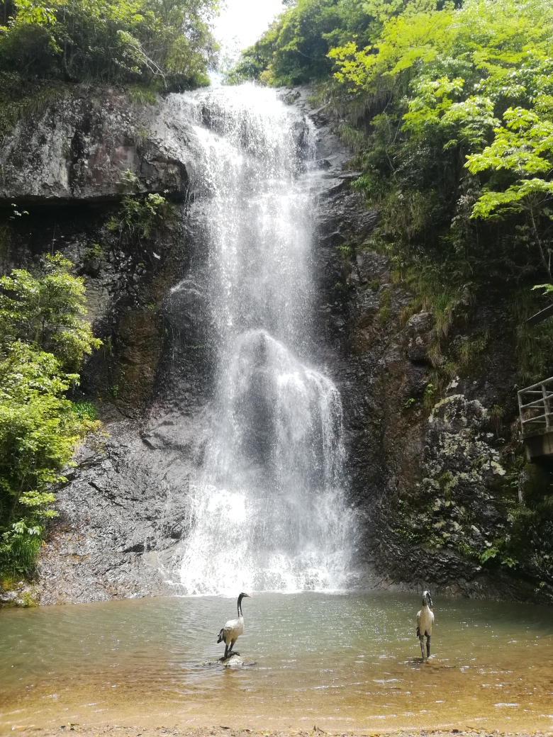 磐安灵江源森林公园