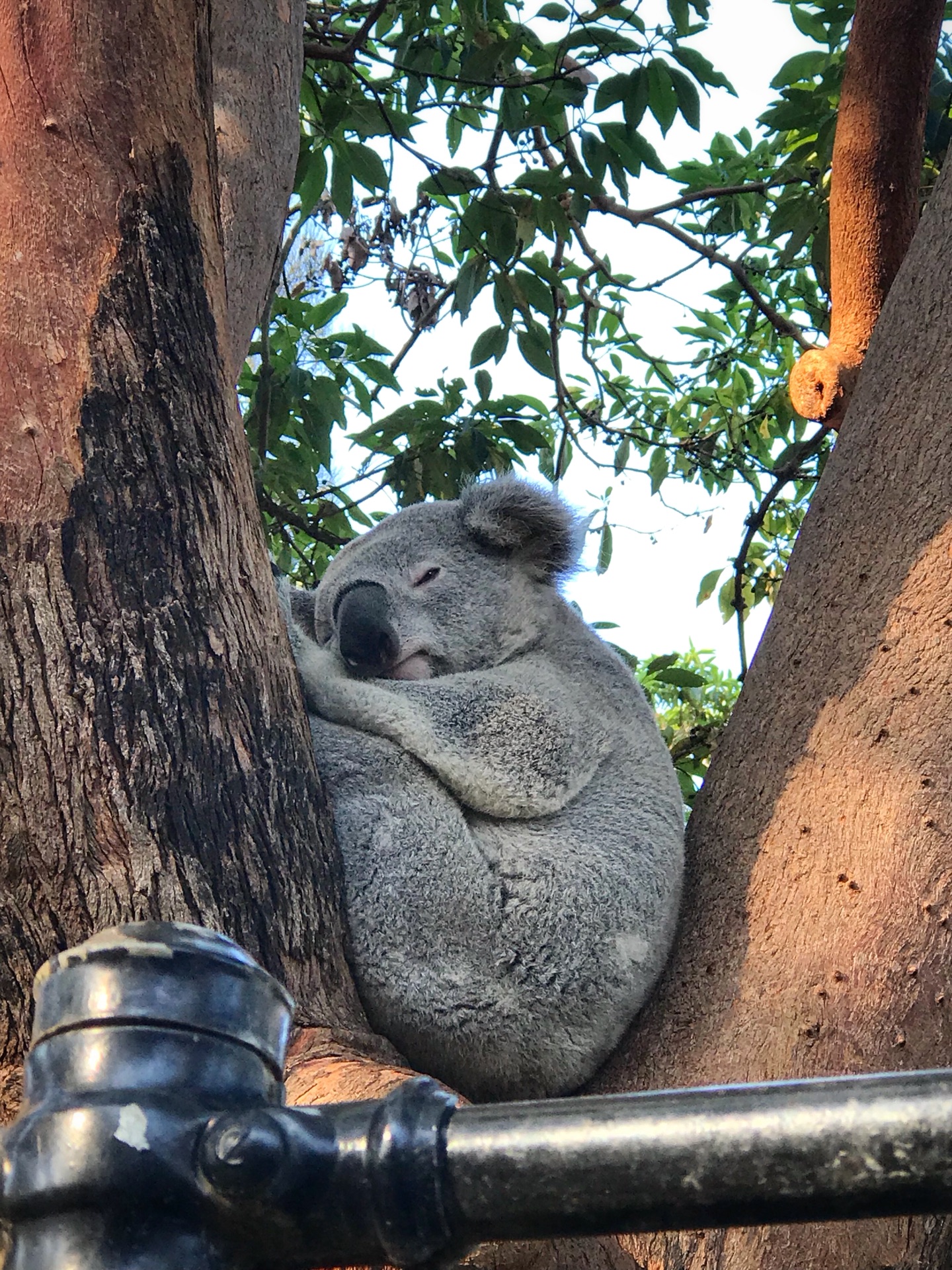 wKgBEFrzjE2ADvWNABBATnQCkXw30.jpeg?imageView2%2F2%2Fw%2F600%2Fh%2F600%2Fq%2F90