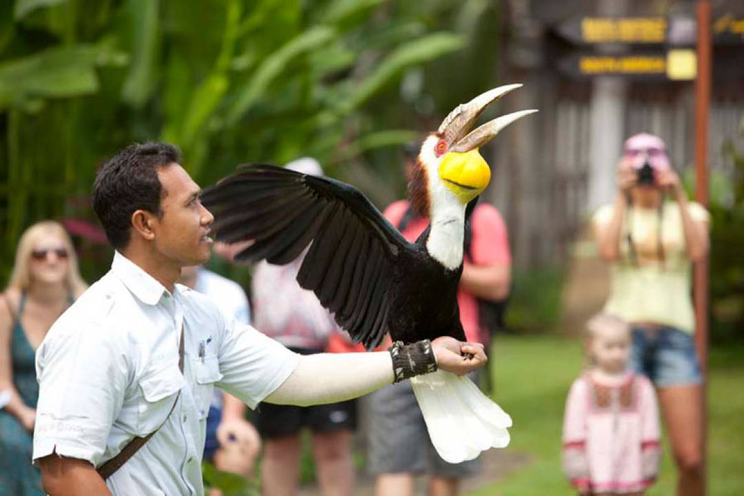 印尼巴厘岛鸟园门票(电子兑换凭证)