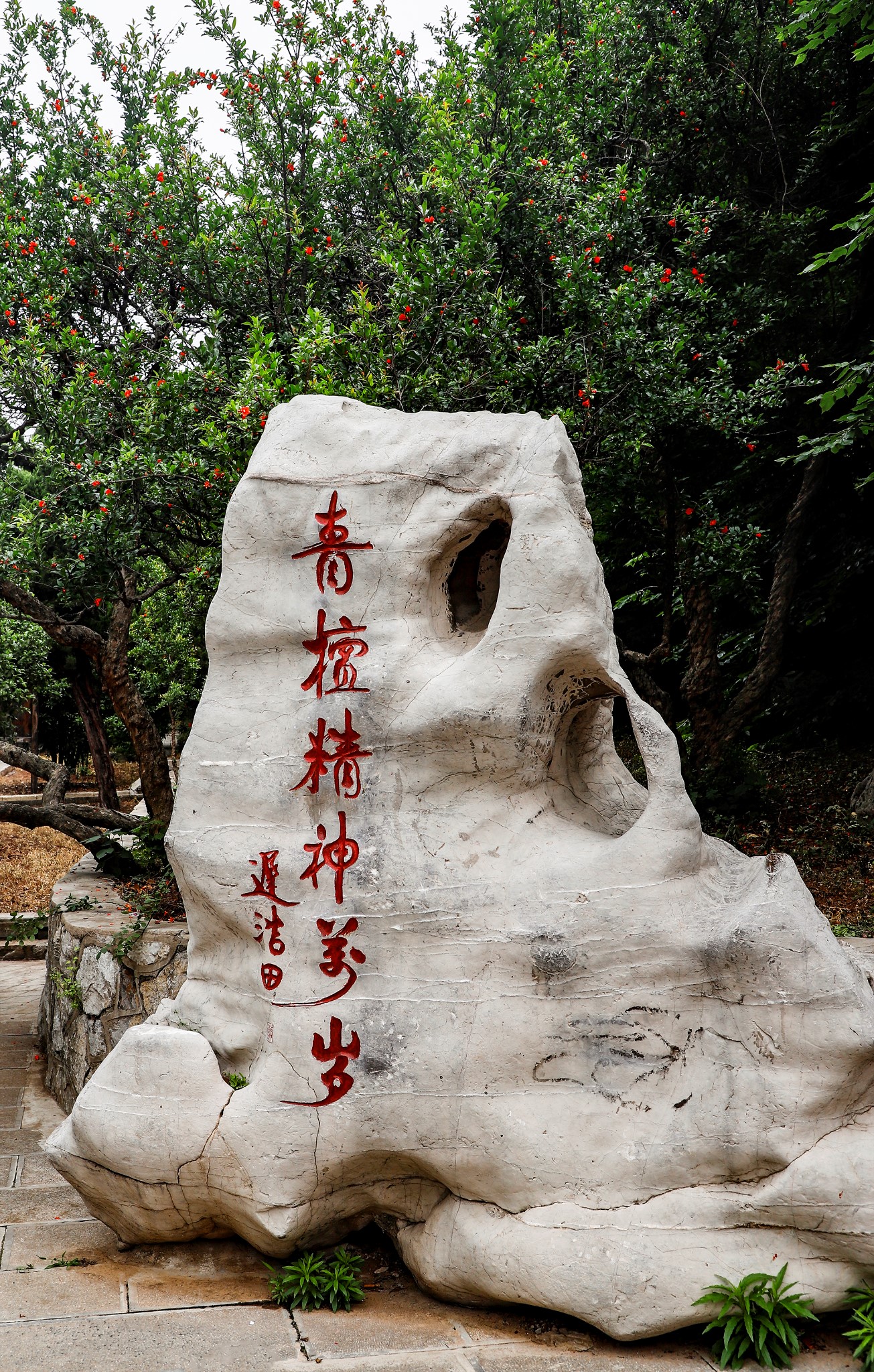 故乡的"青檀寺""万福园 ",枣庄旅游攻略 - 马蜂窝