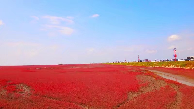 红海滩婚纱照_盘锦红海滩(2)