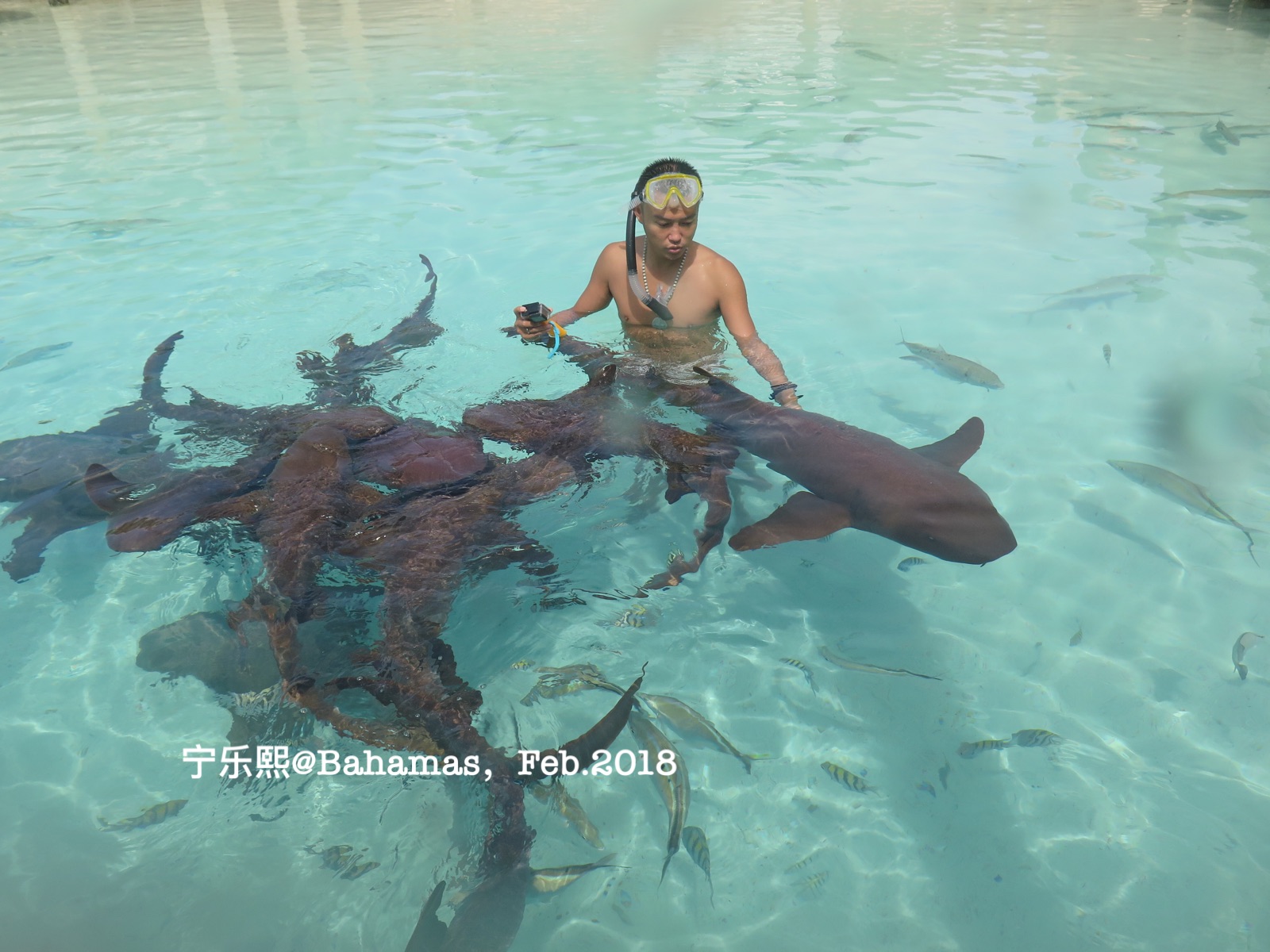 wKgBEFrd1yyAABprAAWa_OgN-2g27.jpeg?imageView2%2F2%2Fw%2F600%2Fh%2F600%2Fq%2F90