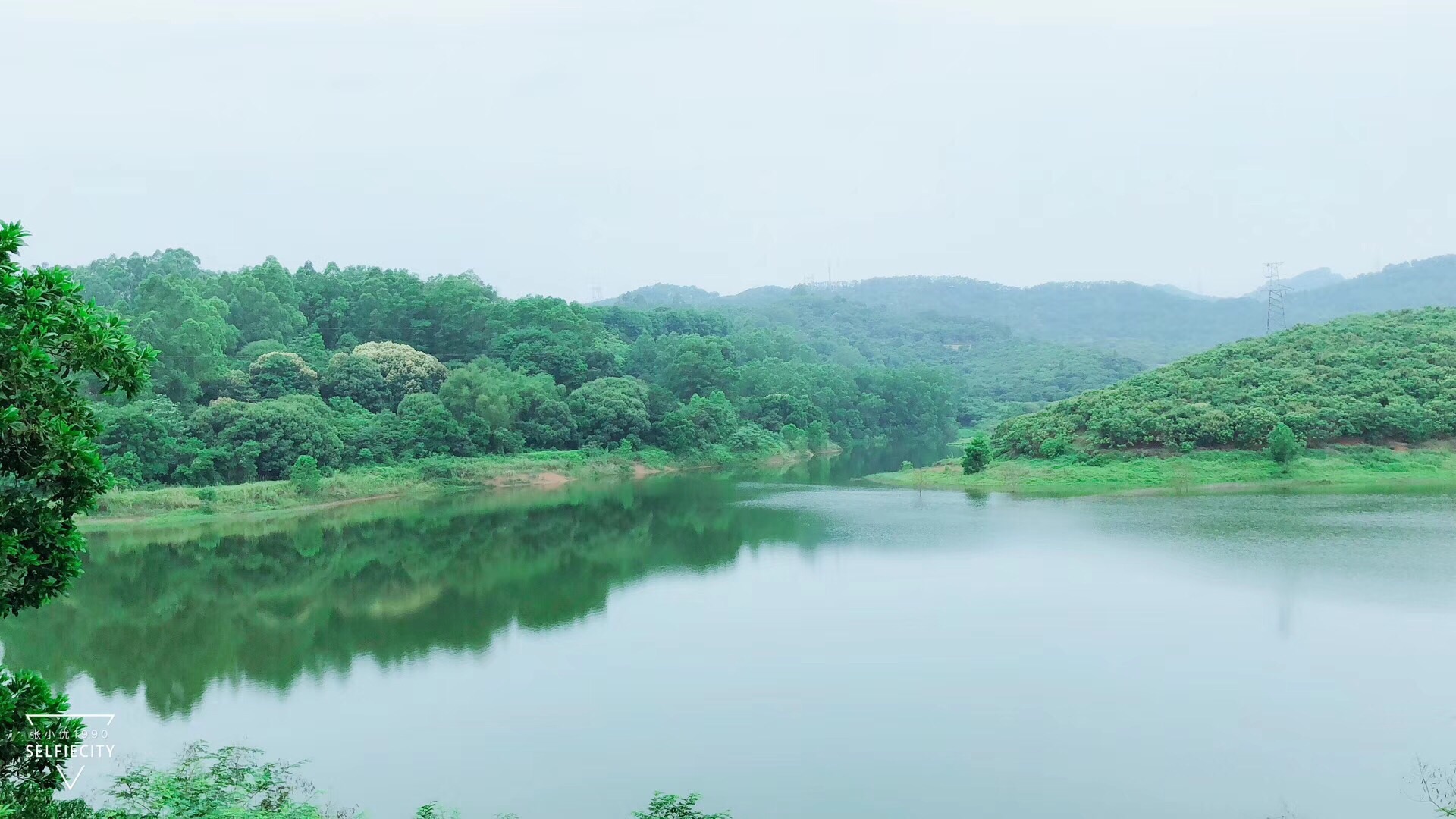 深圳观澜大水坑绿道随拍