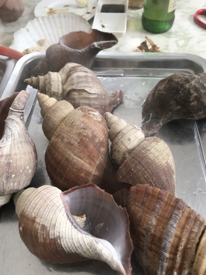 珲春哪里海鲜好,吃着实惠,买着便宜。