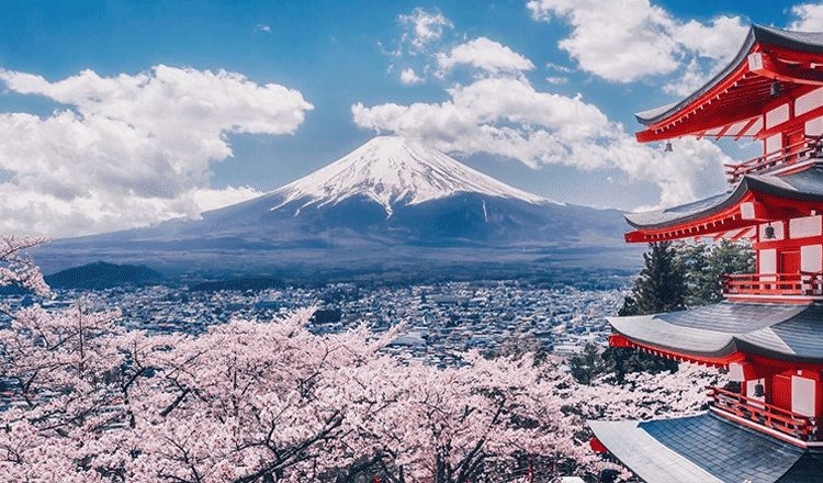 广州送签-日本单次旅游签证(特价广深户329元 隐私安全 拒签全退 预审