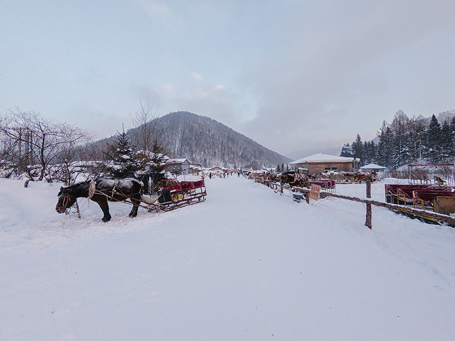 超高清雪乡