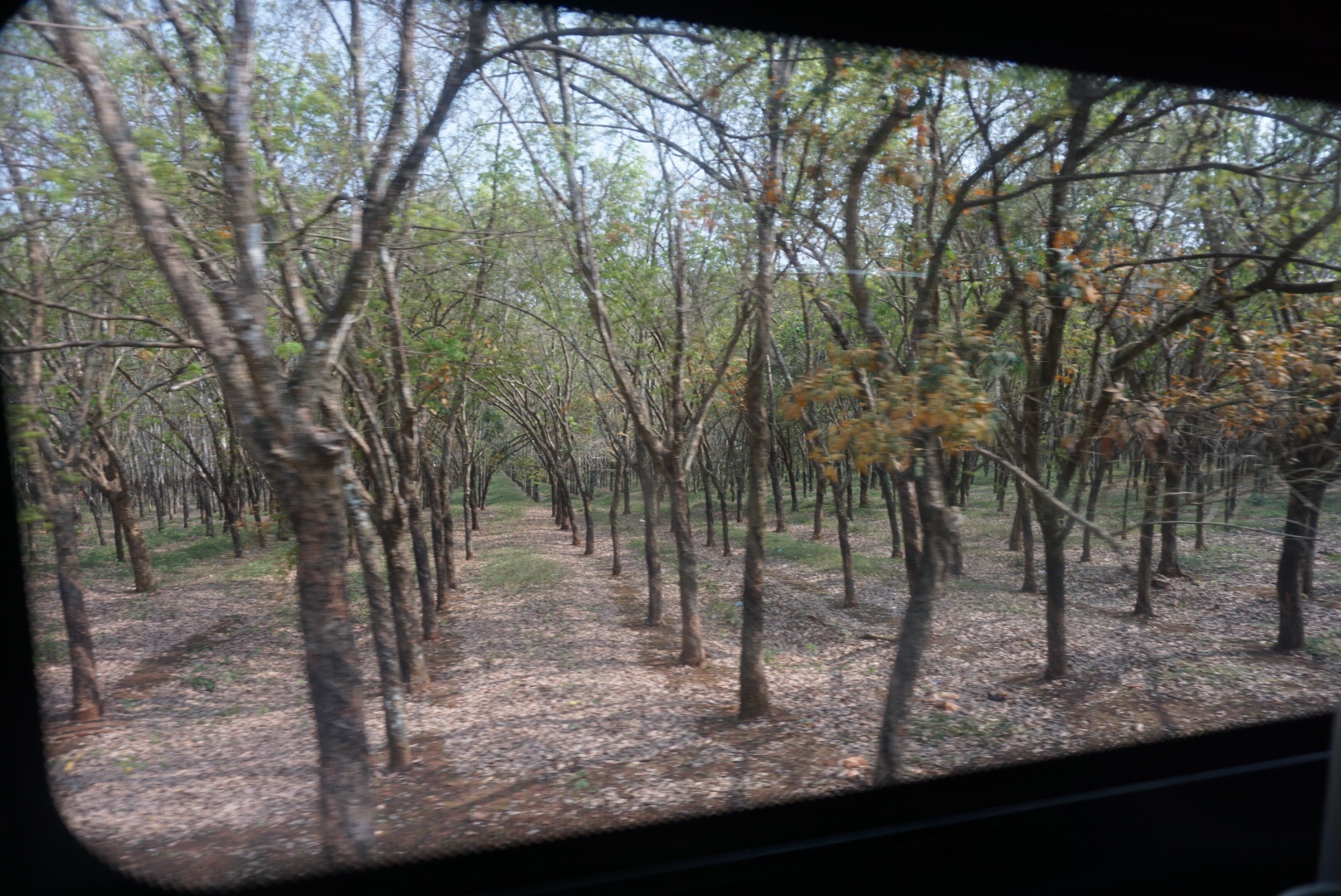 华西村人均收入_幸福三千里 人均