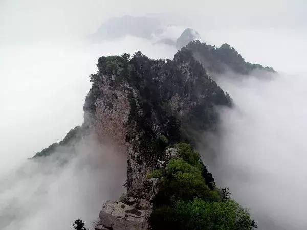 温县游玩攻略,温县旅游攻略