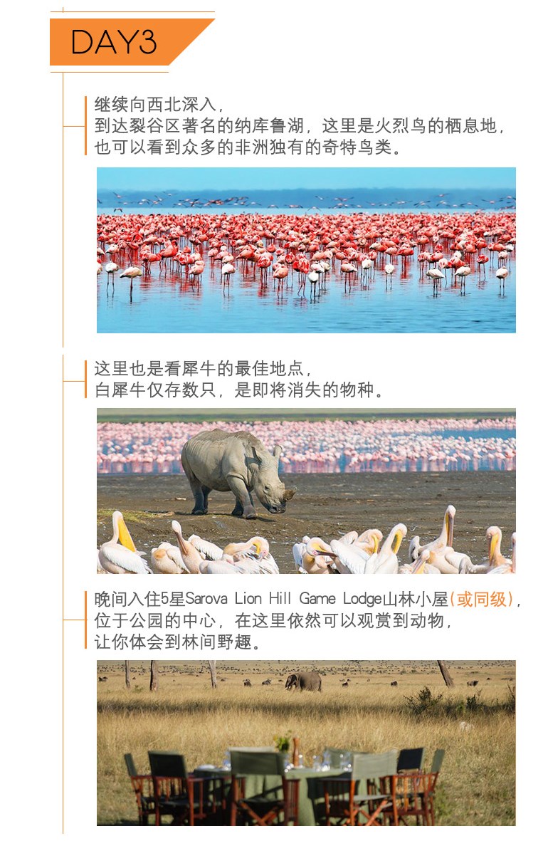 肯尼亚人口分布的特点_肯尼亚服饰特点(2)