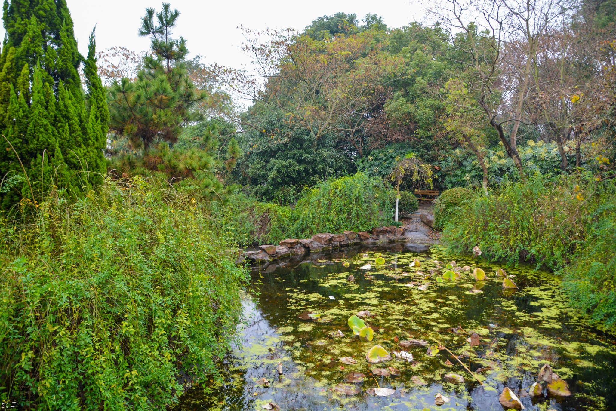 嘉兴平湖 汤山公园