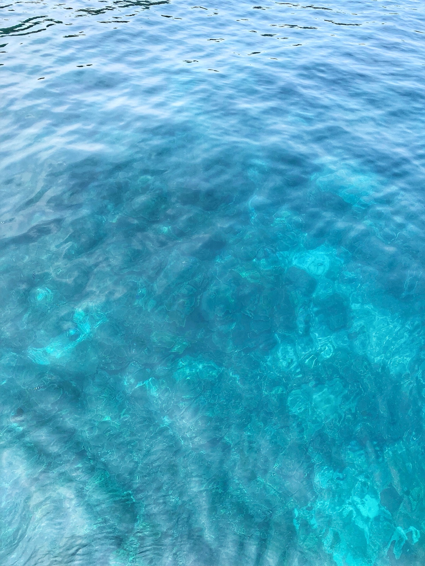 渐开头猜成语_看图猜成语(3)