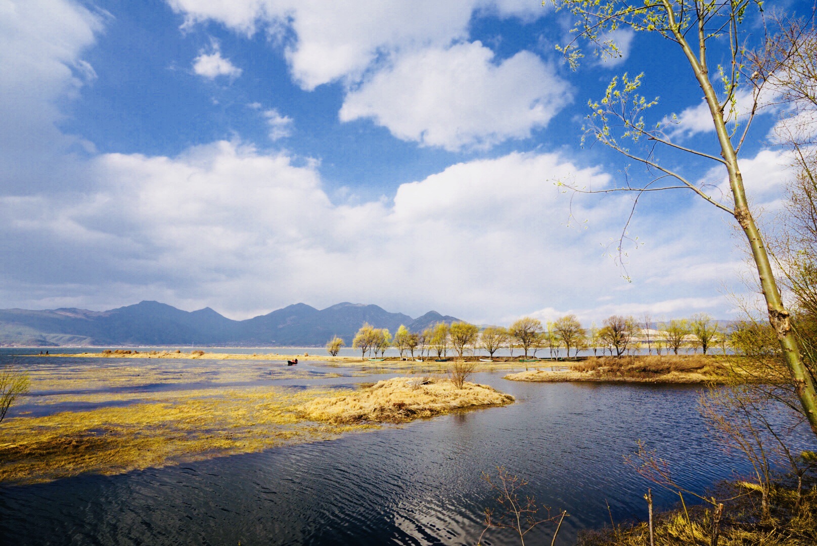 拉市海湿地公园