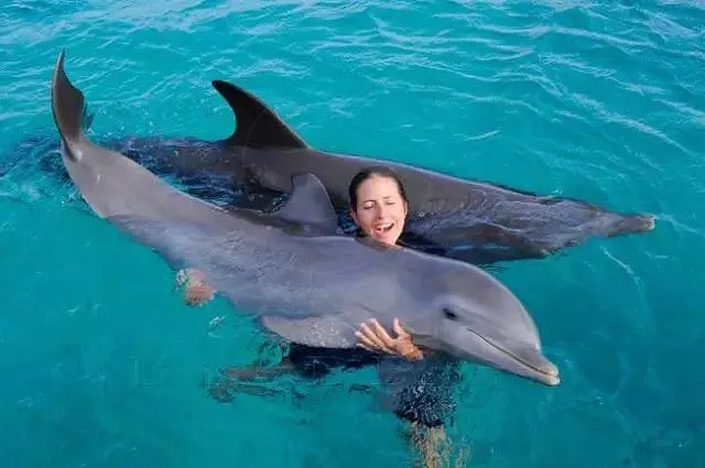 wKgBEFqfqLuAa5JGAAJhrL8WRGE76.jpeg?imageView2%2F2%2Fw%2F600%2Fh%2F600%2Fq%2F90