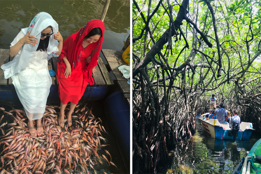 超全斯里兰卡攻略，一张表告诉你24个景点怎么选