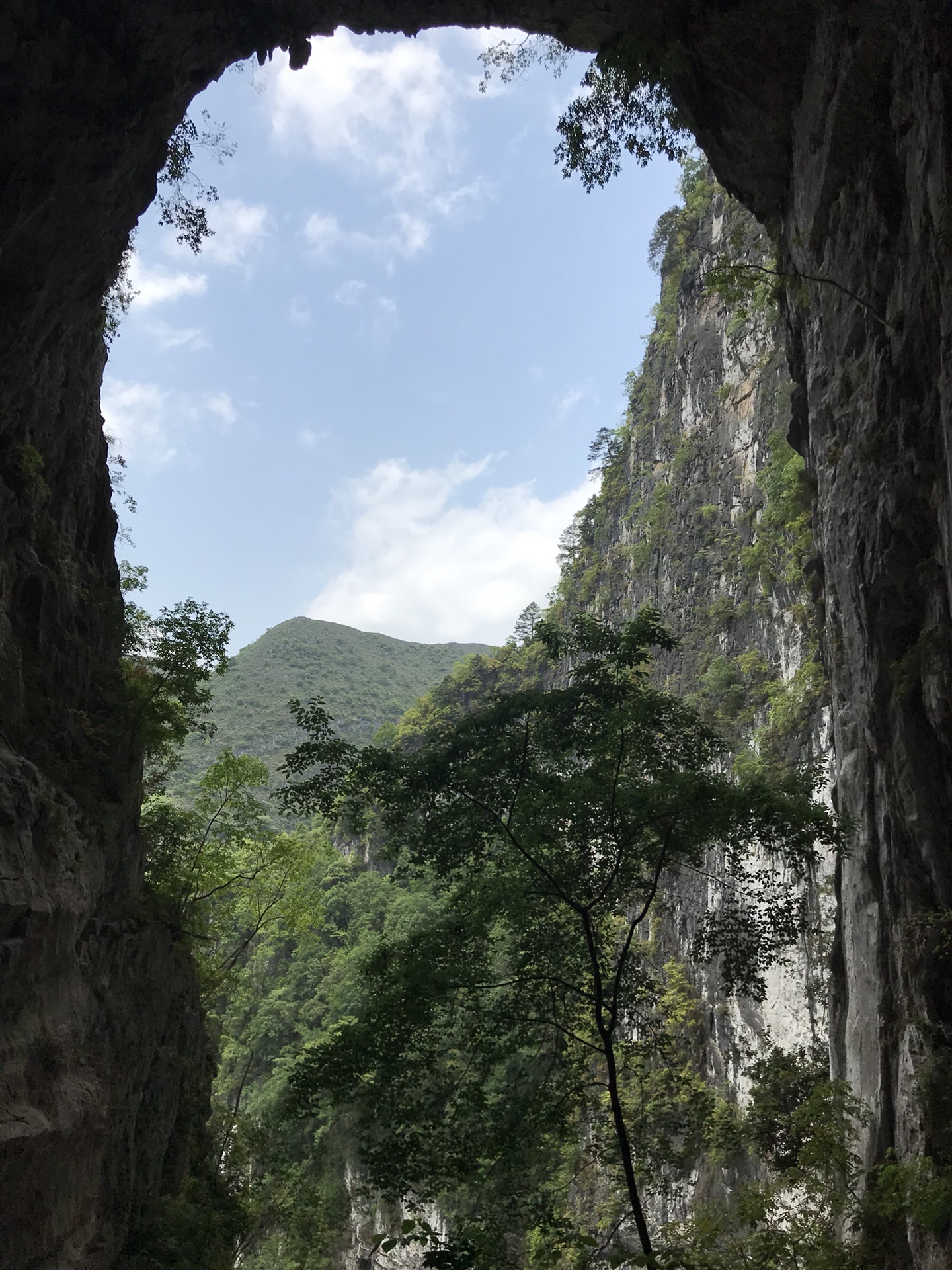 百色凌云浩坤湖乐业大石围天坑群靖西古龙山峡谷三日游