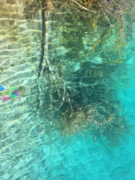 蓝色的水怎么变成透明的水 wKgBEFrEG5aAYdqhABDmBYomlwc82.jpeg?imageView2%2F2%2Fw%2F600%2Fh%2F600%2Fq%2F90