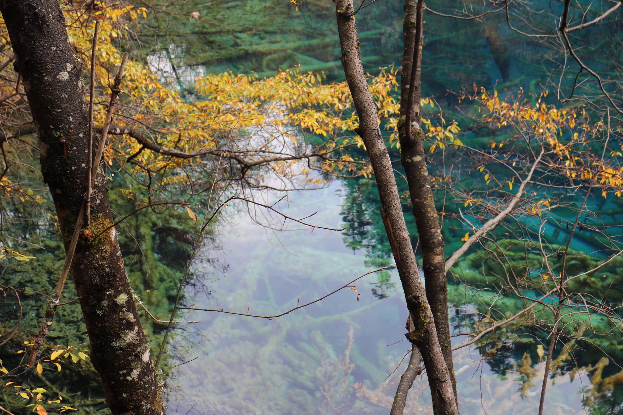 牟尼沟婚纱照_牟尼沟风景区(2)