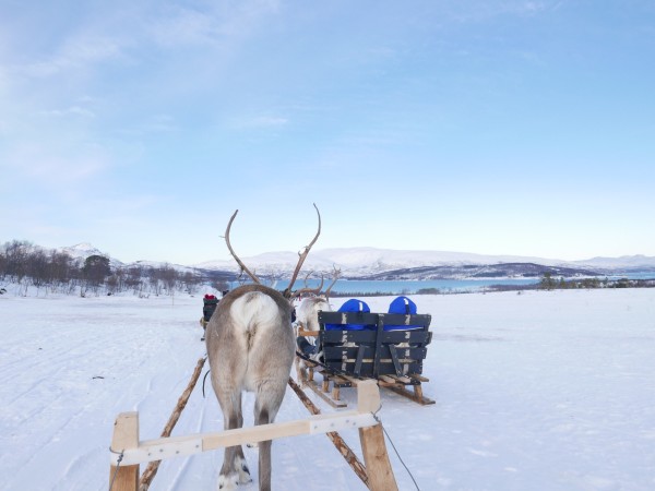 挪威是不是常年有雪 wKgBEFqccVyAGYqZAAX-r_g1HCA99.jpeg?imageView2%2F2%2Fw%2F600%2Fh%2F600%2Fq%2F90