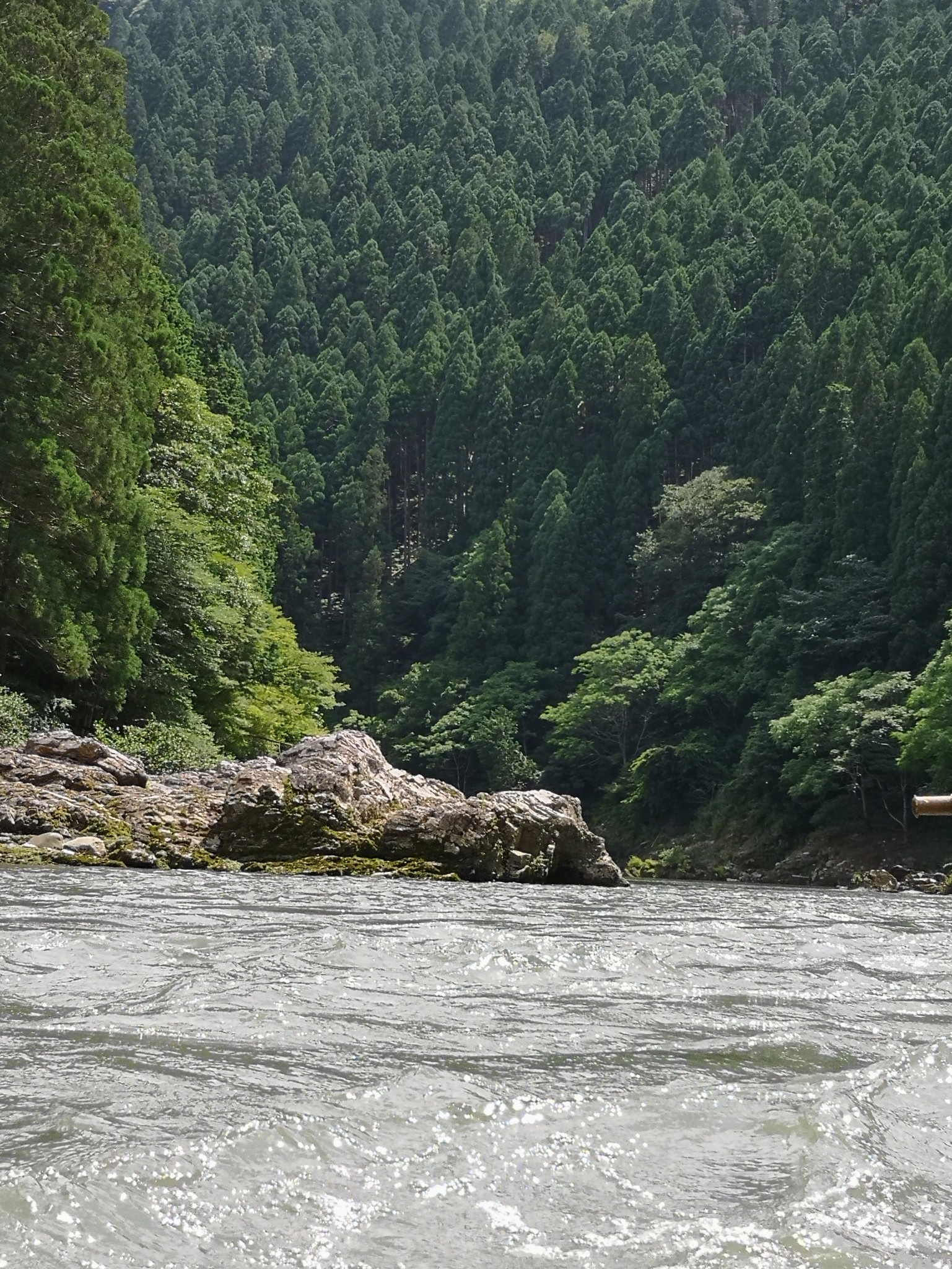 山重水路疑无路柳暗花明又一村猜成语(3)