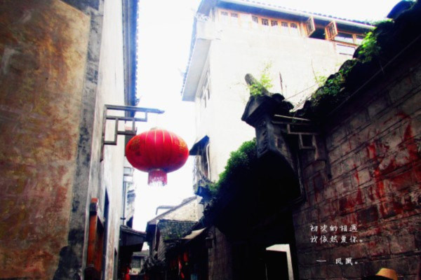 杨巷游玩攻略,杨巷游玩攻略一日游