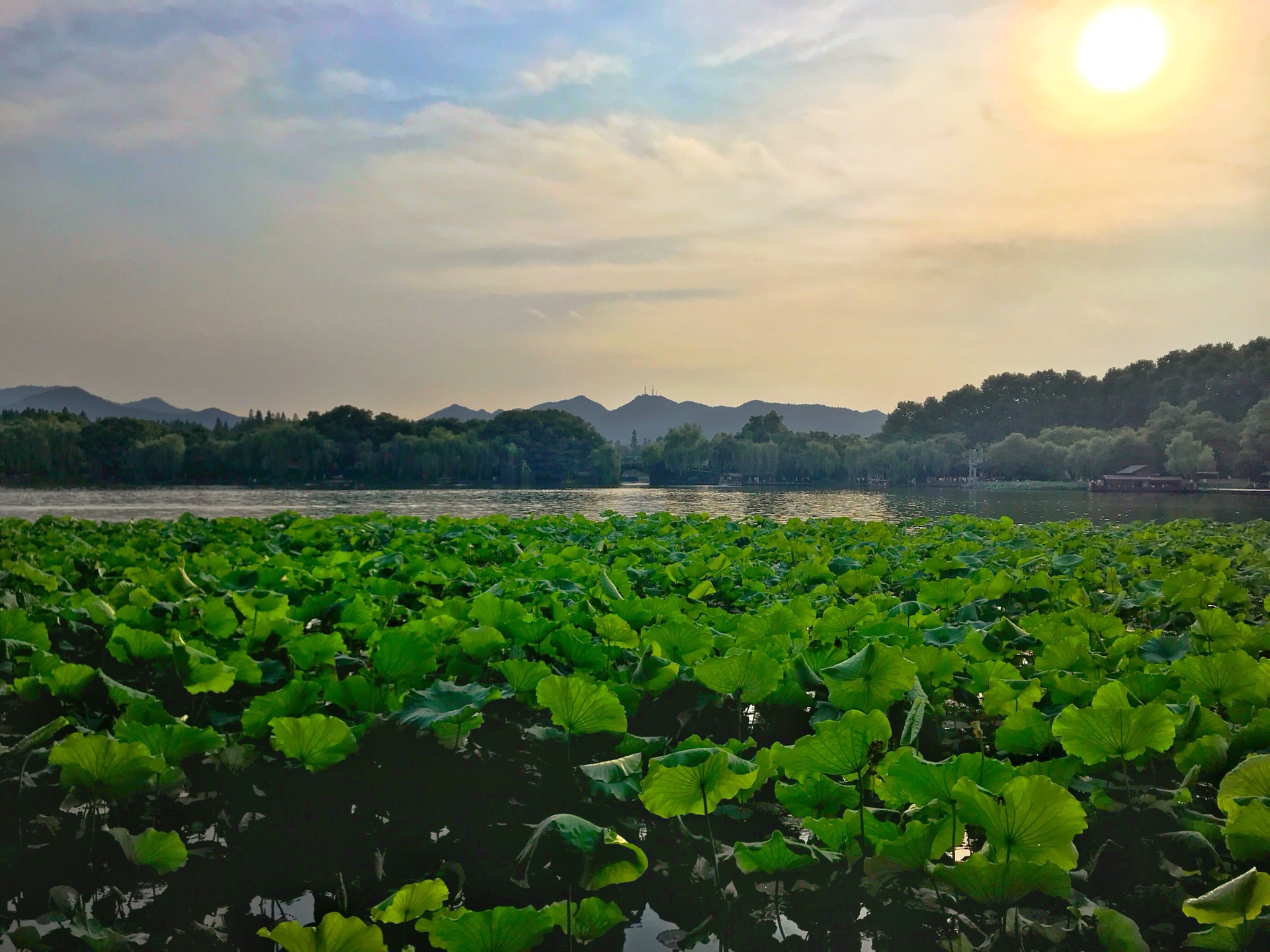 西湖楼外楼_西湖楼外楼人均消费(2)