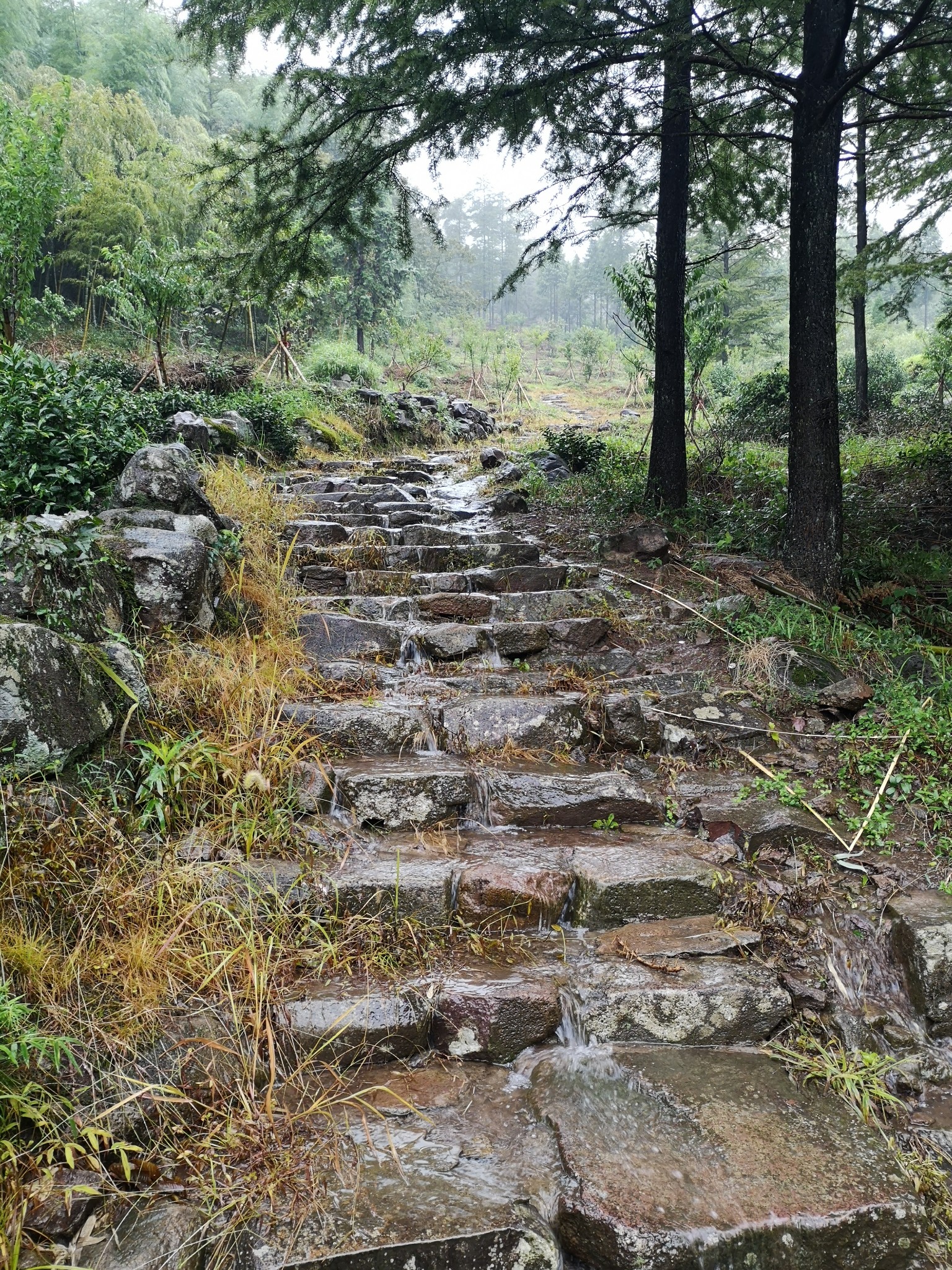 8月,归隐山林,回归生活的本质