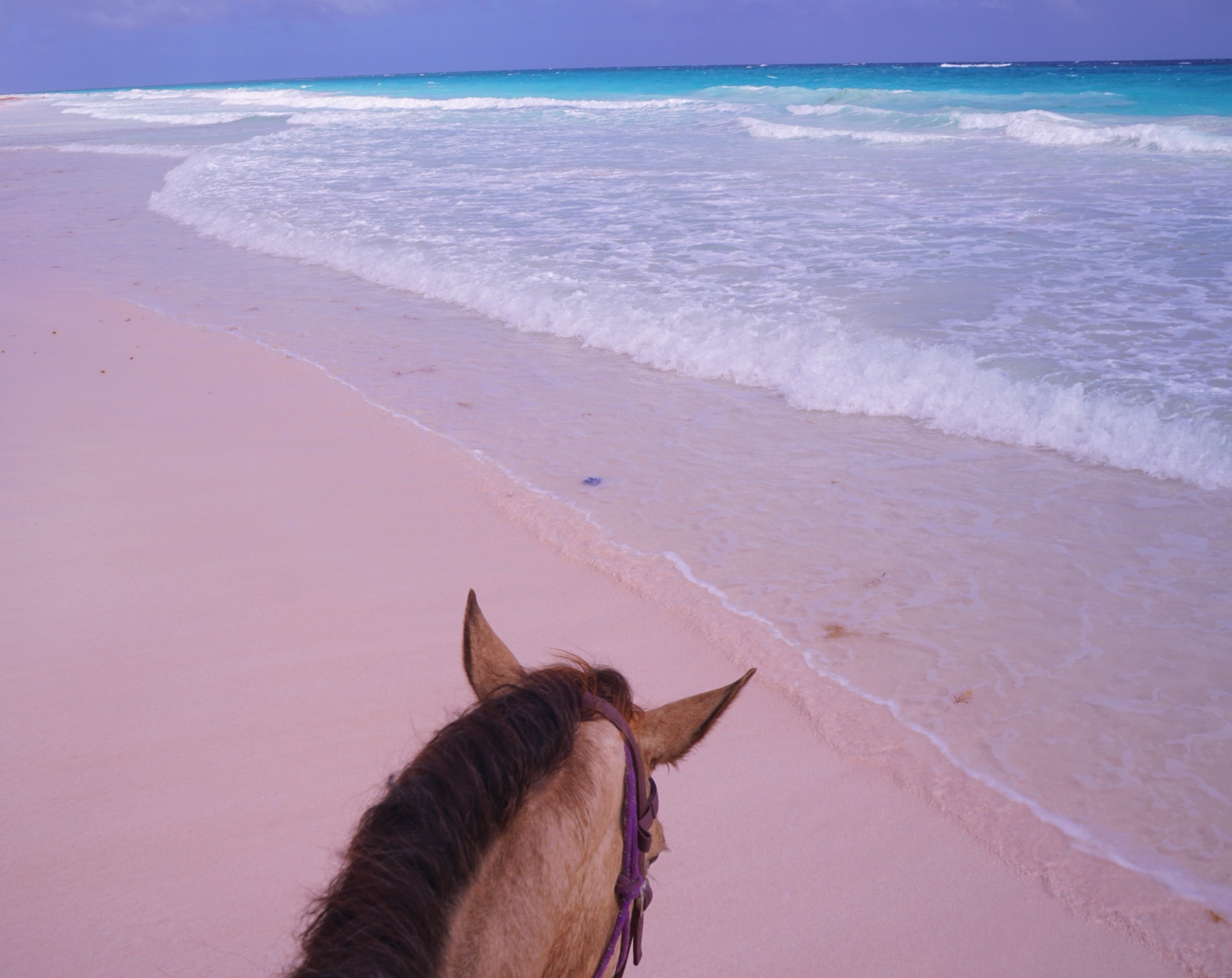 哈勃岛粉色沙滩        