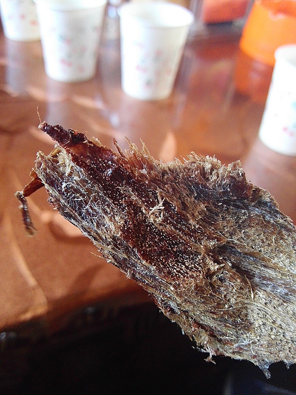 wKgBEFp0XEaAR-mbAAM0qaPgihY85.jpeg?imageView2%2F2%2Fw%2F600%2Fh%2F600%2Fq%2F90