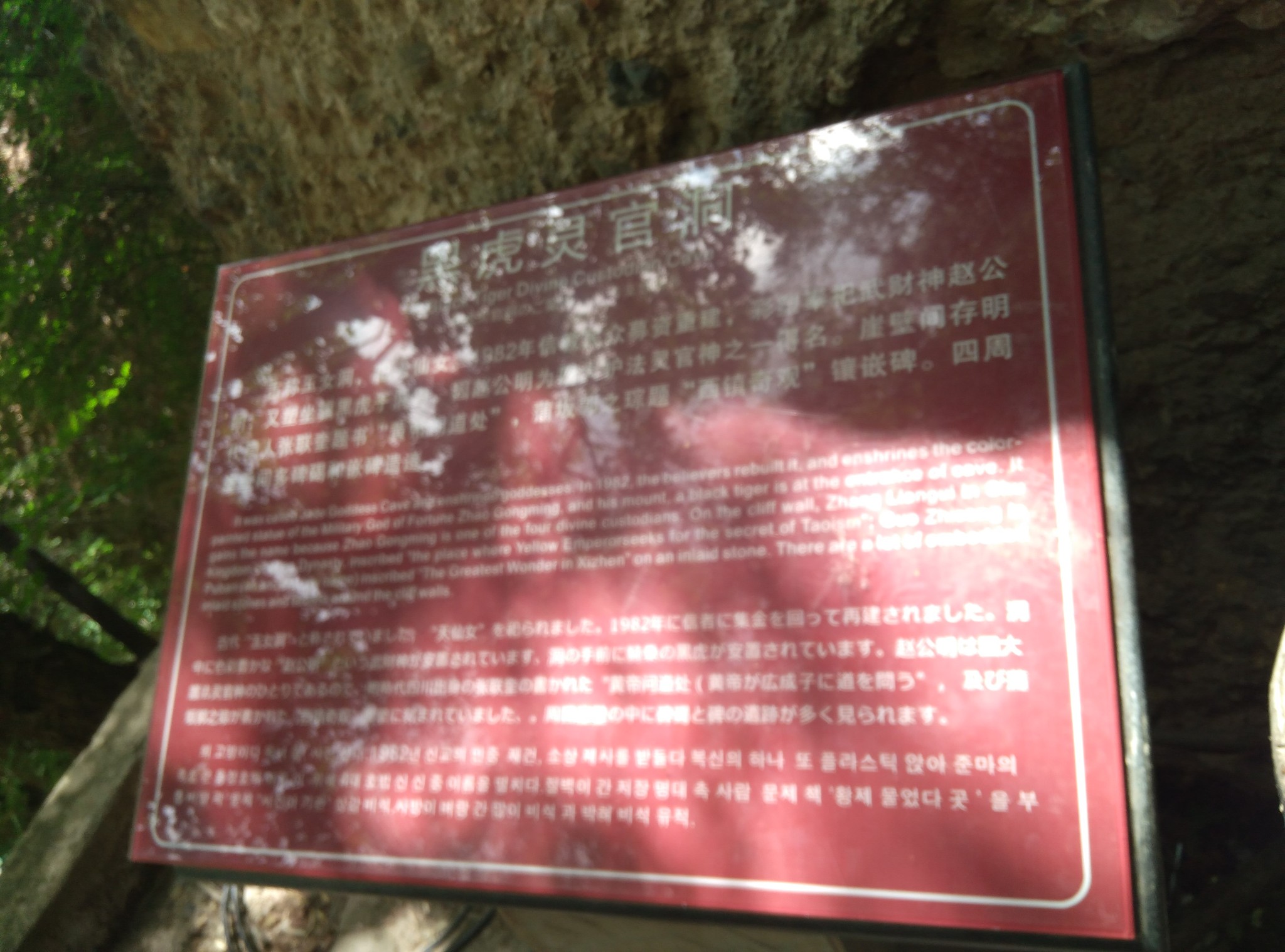 姓玄总人口_天津总人口曲线图(3)