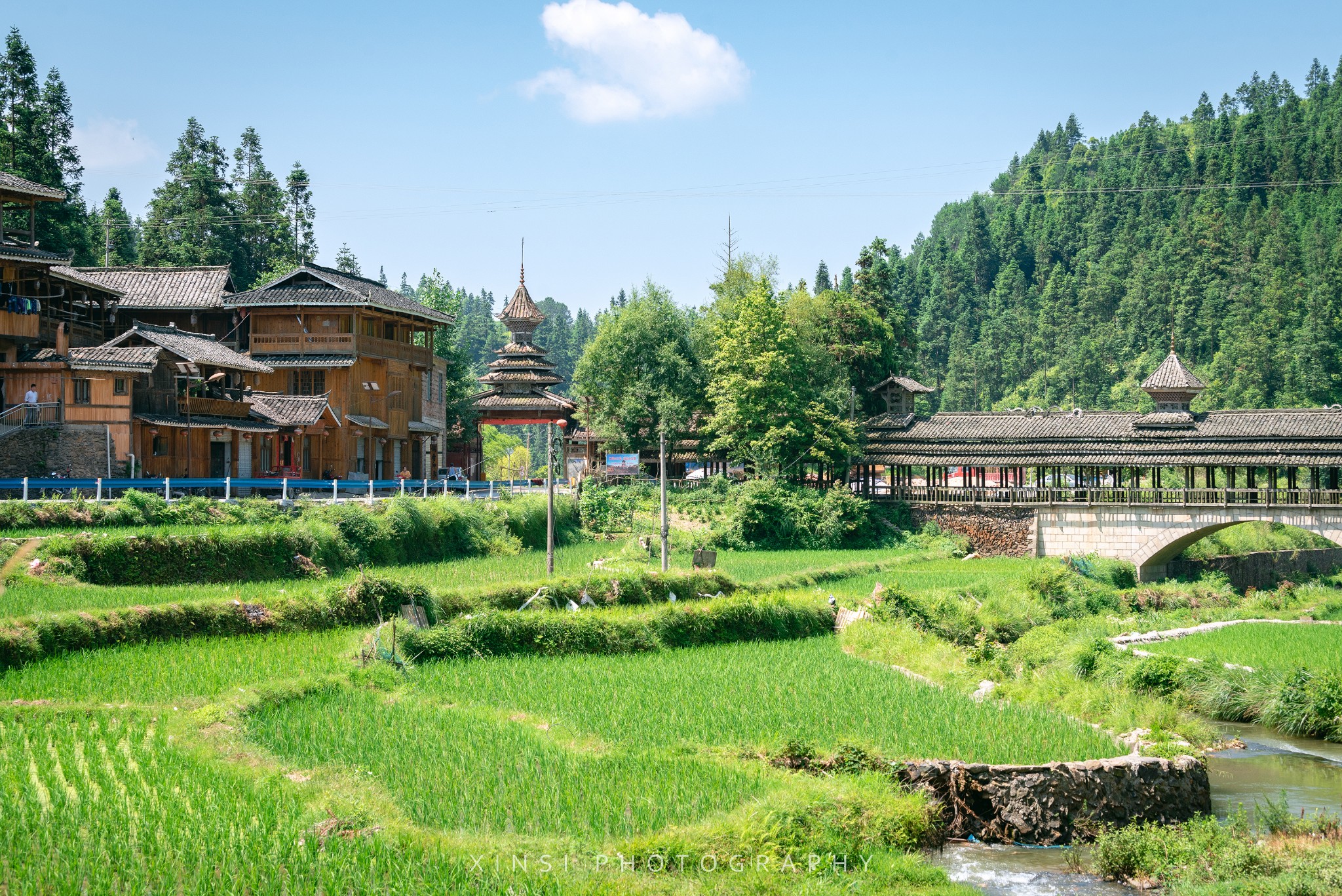 黄村乡人口_金川乡伏黄村(3)