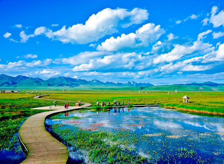 东方普罗旺斯 体验游牧生活 红原草原若尔盖花湖月亮湾薰衣草基地3